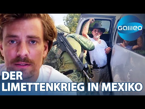 Schutzgelderpressung und Einschüchterung: So grauenhaft ist der Limettenkrieg in Mexiko!