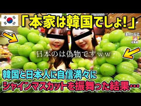 【海外の反応】「日本が韓国のフルーツをパクってるぞ！」“シャインマスカットの本家”を巡り日韓が真っ向対立！韓国人女性が知った衝撃の事実とは！？【日本人も知らない真のニッポン】【総集編】