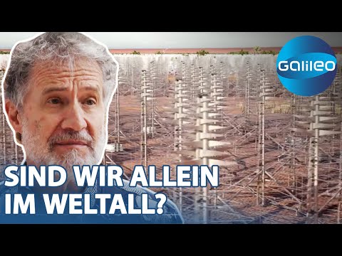 Sind wir alleine im Universum? 130.000 Antennen sollen das herausfinden!