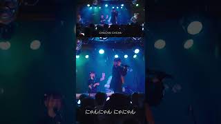 幼稚園で無双するいぬのおまわりさん #バンド #ライブ