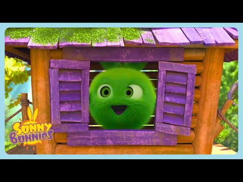 Sunny Bunnies - ツリーハウス | 幼児向け漫画 | WildBrain ジャパン