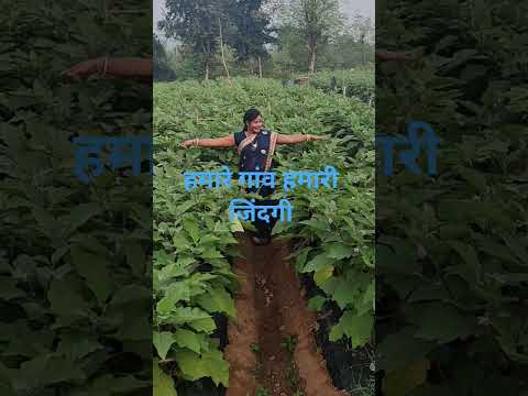 हमारे गांव हमारी जिंदगी