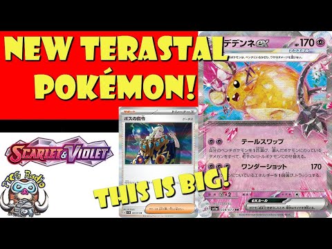 Pokemon TCG News