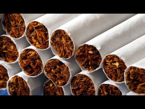 Βέλγιο: Έφοδος σε παράνομο εργοστάσιο τσιγάρων - Κατασχέθηκαν τεράστιες ποσότητες…