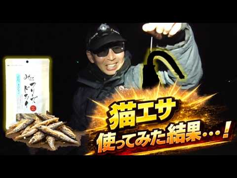 猫エサを釣りエサにしてみた