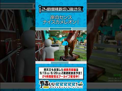 岸のセンス ナイスカメレオン！