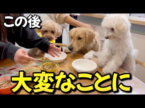 従順な愛犬が大好物を目の前にした結果、とんでもないことになりました【ココグルメ】