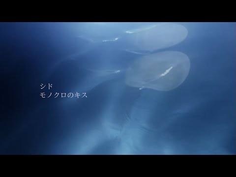 SID 『Monokuro No Kiss』Music Video