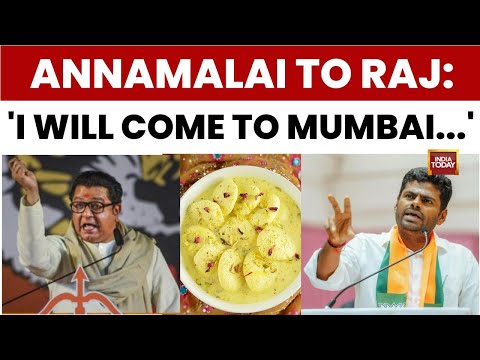 K. Annamalai Dares Raj Thackeray Over 'Rasmalai' Jibe: 'I Will Come To Mumbai, Do What You Want'