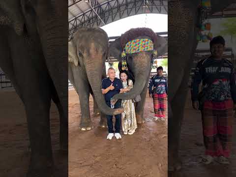 สินสอด1ล้าน ทองคำ5บาท แหวนเพชร1กะรัต ว้าววว ยินดีด้วยจ้ากับเจ้าสาวเจ้าบ่าวด้วยจ้า