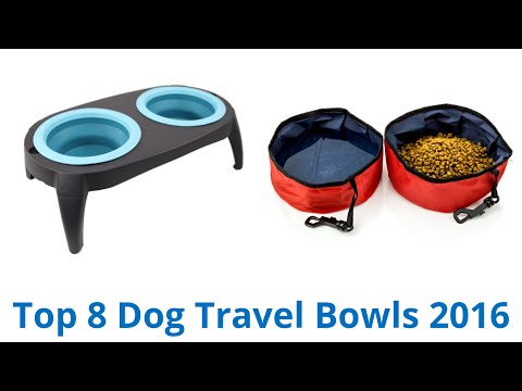 8 Best Dog Travel Bowls 2016 - UCXAHpX2xDhmjqtA-ANgsGmw