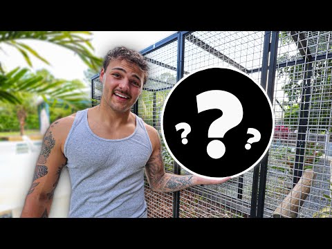 I Bought a NEW ANIMAL for My FARM! In todays video we got a new animal for my farm! This animal is just a baby so we shall see how it d