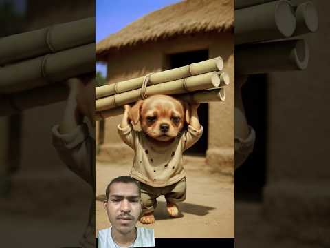 The poor puppy don't have dollars , his rich friends making  fun of him part 2 #animals #ai