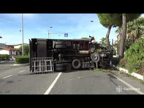 Santa Maria del Cedro: incidente sulla SS 18, camion finisce contro albero.