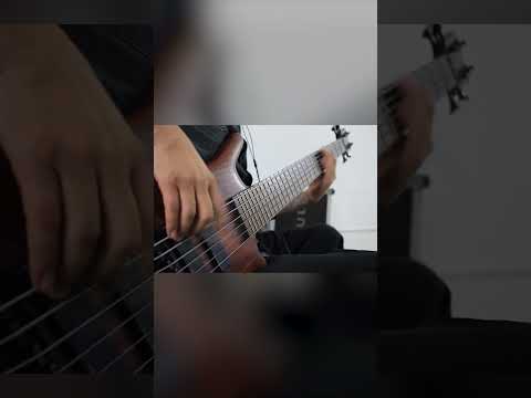 Lost Nebula - The Posthuman (Harry Gonzalez Stolyarchuk Bass Playthrough)