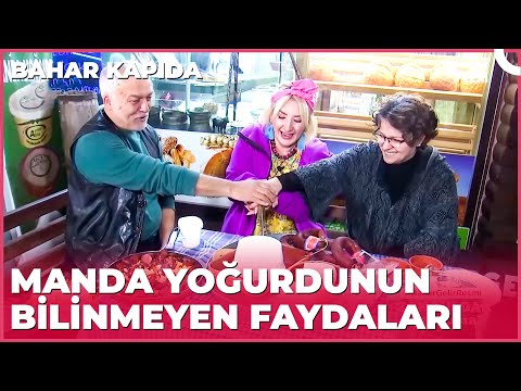 Kaliteli Manda Yoğurdu Nasıl Olur? | Bahar Kapıda - Zonguldak