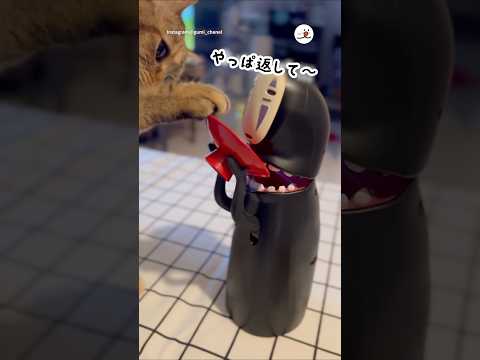 貯めるならお腹の中が一番😋｜PECO
