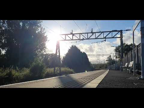 Trains and tones at: Roydon, WAML, 13/10/21+ 30/10/21