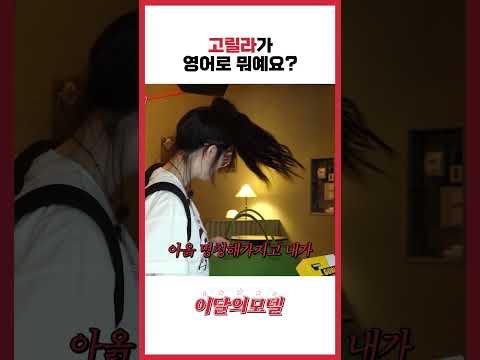 고릴라가 영어로 뭐예요?