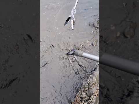 뭐가 있긴 있는대 ! #shorts