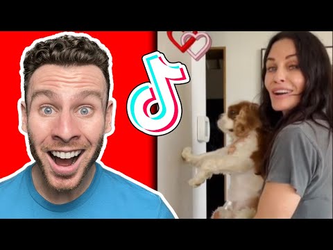 CAVALIER KING CHARLES SPANIEL dog TiKToks that you need to see. Dog trainer reacts!