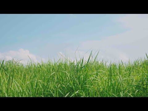 今日を生き延びた皆へ