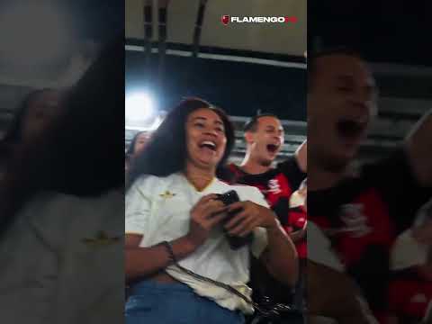 image para ilustrar o artigo