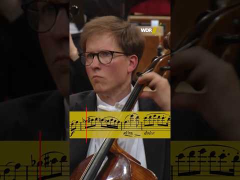 Let the sound of the #cello embrace you 🤗 #classicalmusic