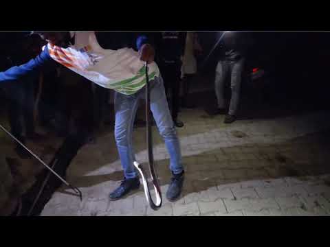 Live streaming of Tiger BhaiJaan