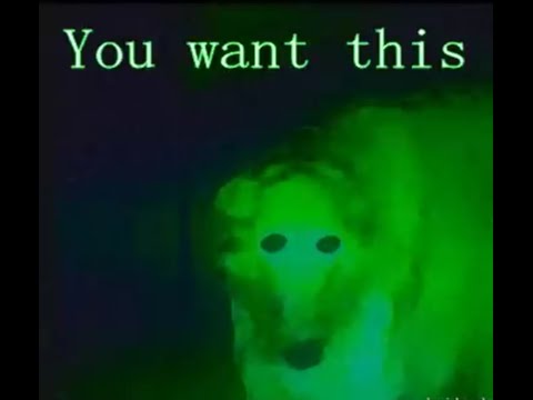 eldritch borzoi compilation
