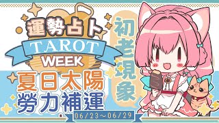 【一周運勢】炎炎夏日勞苦命，運氣不夠努力來湊☆【塔羅占卜】【櫻野露】