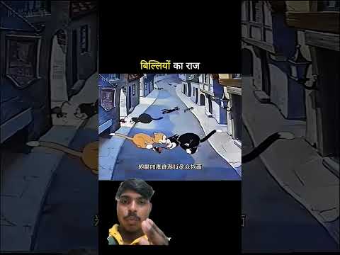 बिल्लियों का राज #shorts