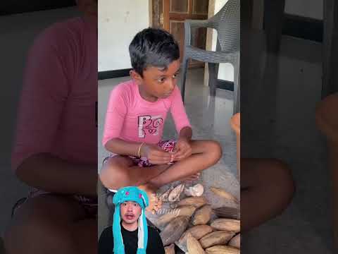 Jadhu dan mama mencari Kapuk untuk membuat bantal ❤️ @KLBROBijuRithvik1