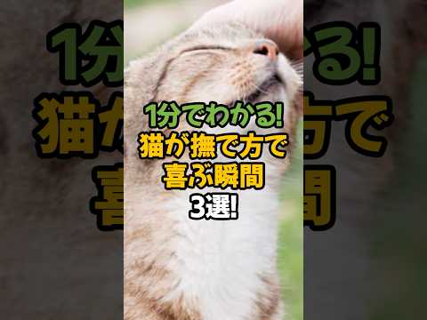【知らないと損!】猫が撫で方で喜ぶ瞬間3選!🐾1分で解説! #shorts #猫 #雑学