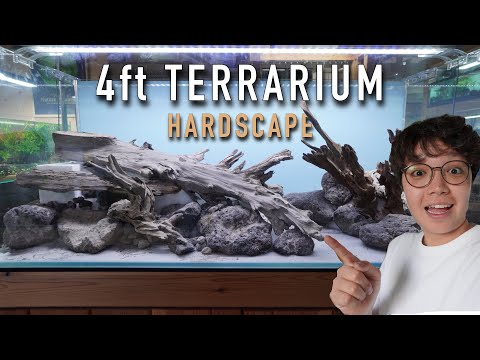 Setting Up the Wild 4ft Terrarium! 𝗠𝗘𝗠𝗕𝗘𝗥𝗦𝗛𝗜𝗣 𝗖𝗼𝗺𝗺𝘂𝗻𝗶𝘁𝘆: https_//www.youtube.c