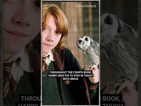 Differences in Harry Potter BOOKS & MOVIES (Part 10) #shorts