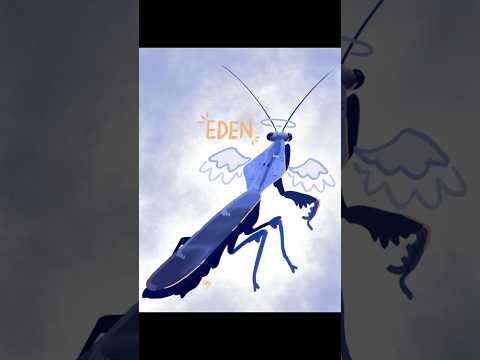i love you eden ❤️ you were never just a bug #pets #mantis #drawing #sketch #render #digitalart #art