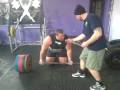 terryhollands