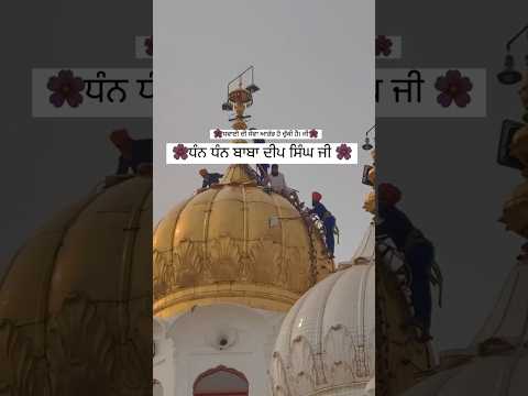 Tumri SaranTumhari Asha||Tum Hi Sajan Suhele#shaheedganjsahib#sewa#babadeepsinghjishaheed#shorts