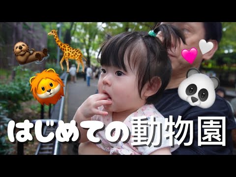 家族3人で初めて動物園に行ったらまさかの結末....😭!!!