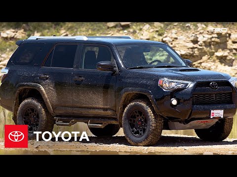 Trd Predator Steps And Blackout Emblem Overlays Toyota 4runner Project Pt 4 Dealer Resmi Toyota Pekalongan Informasi Daftar Harga Promo Mobil Toyota Di Pekalongan Pemalang Tegal