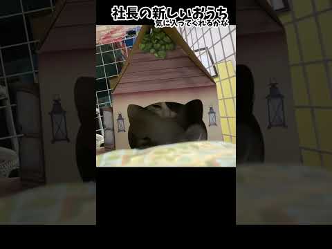 thumbnail_kW1PHFZly-8