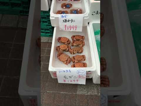 小樽夢市場 2025-10-28