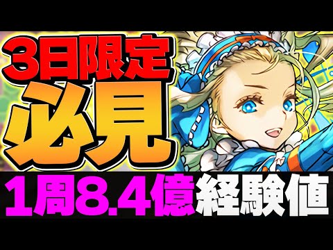 1周11分で"8.4億経験値"！ノアで裏機構城を周回しよう！代用&立ち回り解説！【パズドラ】