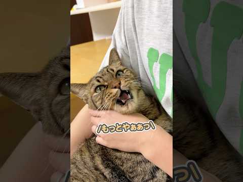 愛猫を、褒め続けた結果…