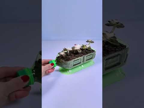 Amazing recycle bottle plastic growing flowers indoor plants #diy #plants #shorts #video #2025