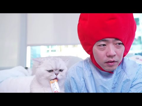 本物の外科医としんぞうの心臓もみもみ生配信