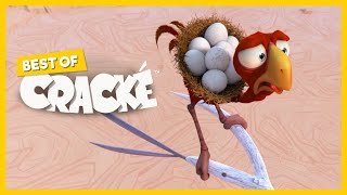 CRACKE - SUDDEN BREAK | Best Compilations | Cartoon for kids | by Squeeze