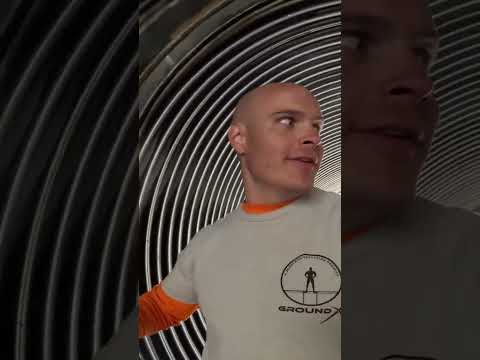 Bet you've never seen a Bunker Fly...