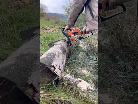 Як працює STIHL - MS 180